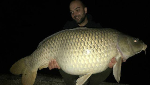 A carp from Brocard Small, Swim 2, May 2018