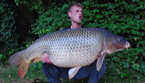 A carp from Brocard Small, Jul 2015