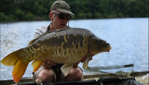 A carp from Brocard Small, Jun 2018
