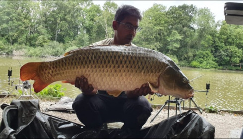A carp from Brocard Small, Aug 2019