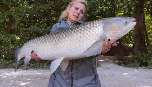 A grass carp from Brocard Small, Aug 2019