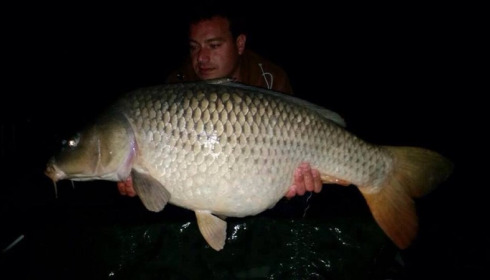 A carp from Brocard Small, Oct 2014