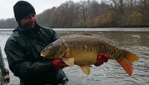 A carp from Brocard Small, 2014 Netting / Stock Check, Dec 2014