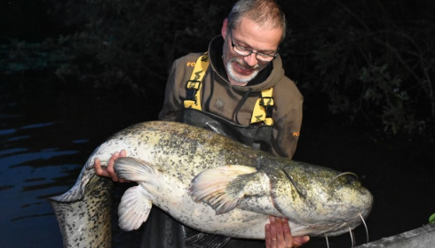 A carp from Brocard Small, Swim 2, Jul 2016