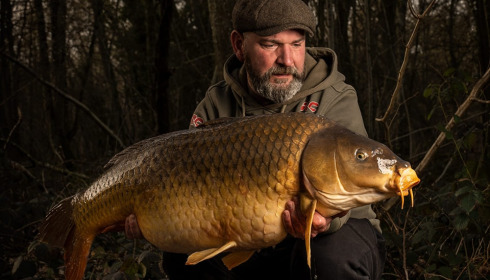 A carp from Brocard Small, Apr 2023