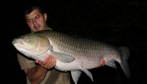 A 58 lb 9 oz grass carp from Brocard Small, SÃ¶ren & Alex, Aug 2014