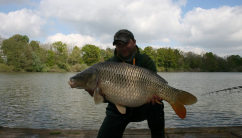 A carp from Brocard Small, Swim 2, Apr 2014