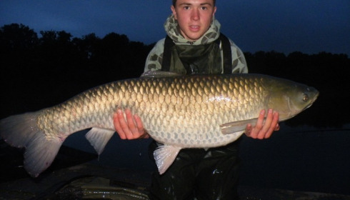 A grass carp from Brocard Small, Adrian Sproston Group, May 2014
