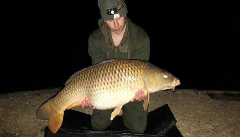 A carp from Brocard Small, Swim 2, Mar 2018