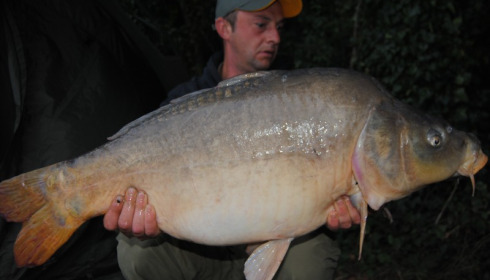A carp from Brocard Small, Swim 4, Aug 2015