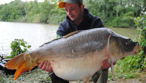 A carp from Brocard Small, Swim 4, Aug 2015