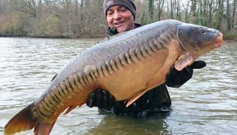 A carp from Brocard Small, 2014 Netting / Stock Check, Dec 2014