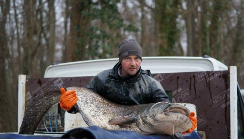 A catfish from Brocard Small, Mar 2016