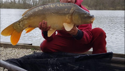 A carp from Brocard Small, Mar 2019