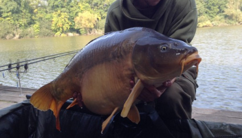 A 39 lb 2 oz carp from Brocard Small, Carl Smith, Sep 2014