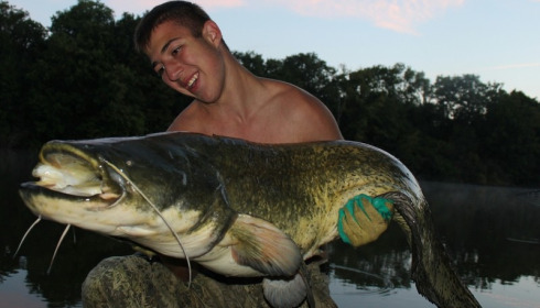 A 73 lb 7 oz catfish from Brocard Small, Sören & Alex, Aug 2014