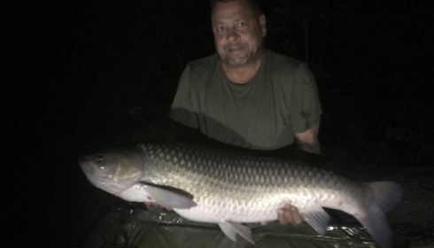 A carp from Brocard Small, Nathan James Samuel-Hill, Jun 2017