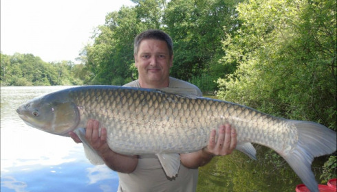 A grass carp from Brocard Small, Jul 2019