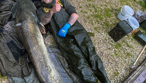 A catfish from Brocard Small, May 2021