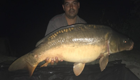 A carp from Brocard Small, Nathan James Samuel-Hill, Jun 2017