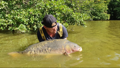 A carp from Brocard Small, Aug 2019