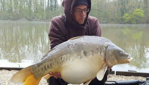 A carp from Brocard Small, Swim 3, Apr 2016