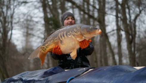 A carp from Brocard Small, Mar 2016