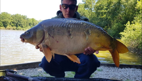 A carp from Brocard Small, Jun 2019