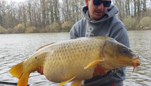A carp from Brocard Small, Mar 2022