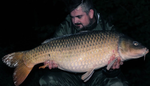 A carp from Brocard Small, Andrew Gilbert, Oct 2017