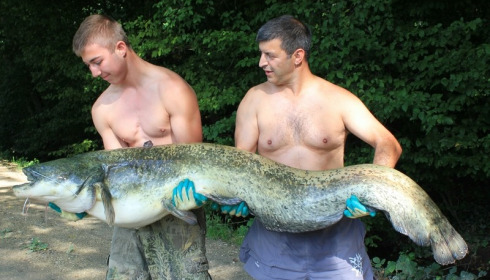 A 83 lb 6 oz catfish from Brocard Small, SÃ¶ren & Alex, Aug 2014