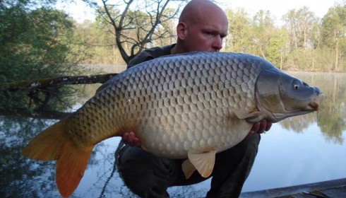 A carp from Brocard Small, Apr 2014