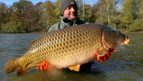 A carp from Brocard Small, Nov 2016