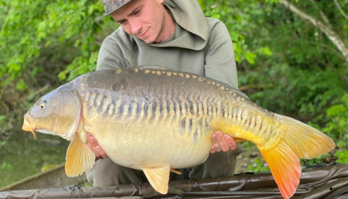 A carp from Brocard Small, May 2021