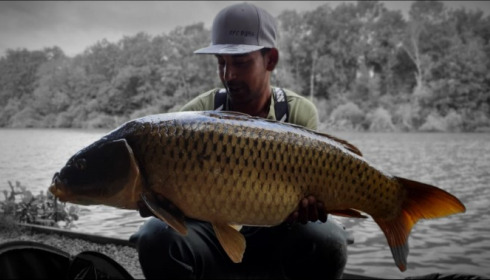 A carp from Brocard Small, Aug 2019