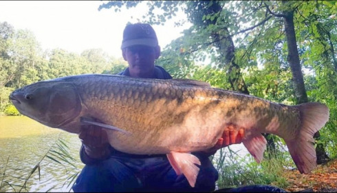 A carp from Brocard Small, Aug 2019