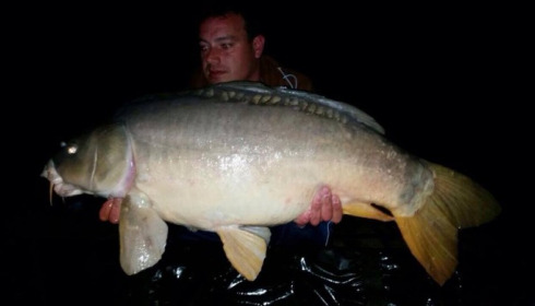 A carp from Brocard Small, Oct 2014