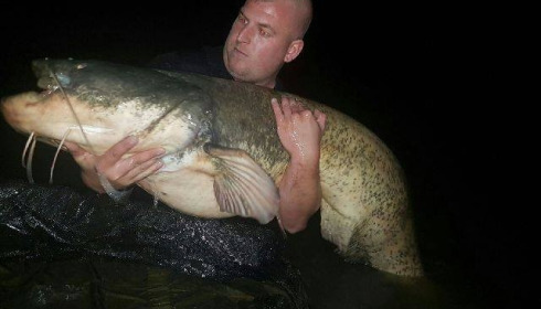 A catfish from Brocard Small, Peg 2, Oct 2016