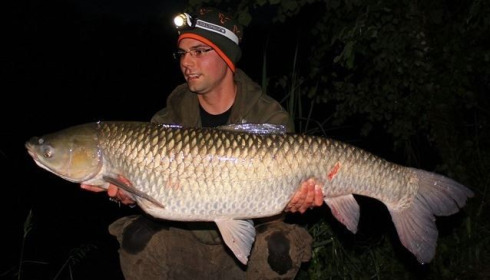 A carp from Brocard Small, Markus Haberleitner, Jun 2014