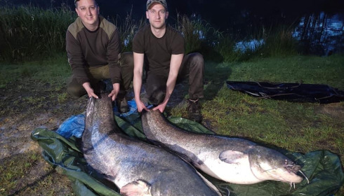 A catfish from Cailleaux, a, May 2021