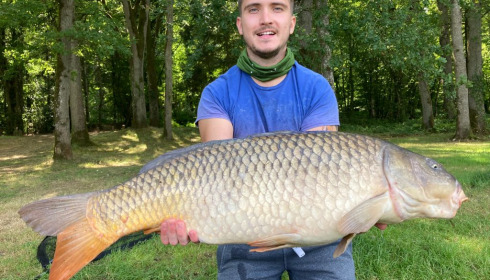 A carp from Cailleaux, adam, Aug 2021