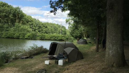 A carp from Cailleaux, Craig Lawson, Sep 2022