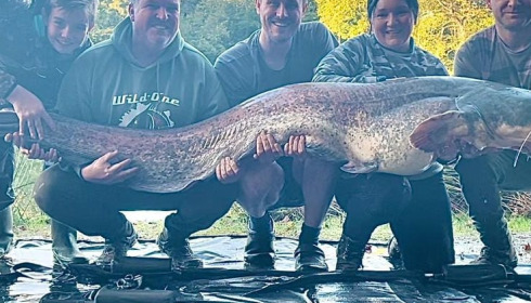 A catfish from Cailleaux, Tanja Feges, Oct 2021