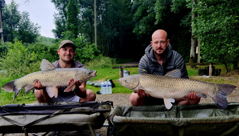 A grass carp from Cailleaux, Jun 2022