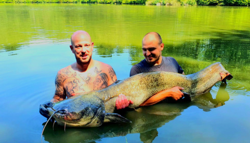 A catfish from Cailleaux, Jun 2022