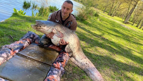 A catfish from Cailleaux, a, May 2021