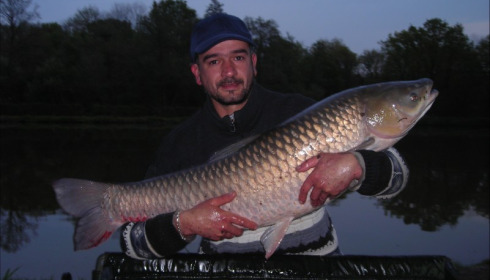 A grass carp from Cailleaux, Aug 2018