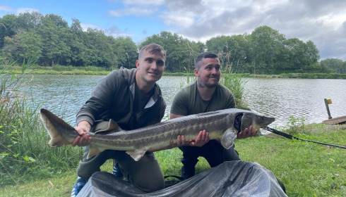 A sturgeon from Cailleaux, adam, Aug 2021