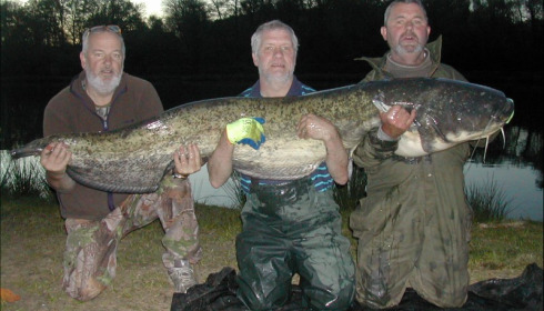 A catfish from Cailleaux, Aug 2018