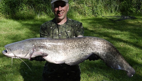 A catfish from Cailleaux, Oct 2021